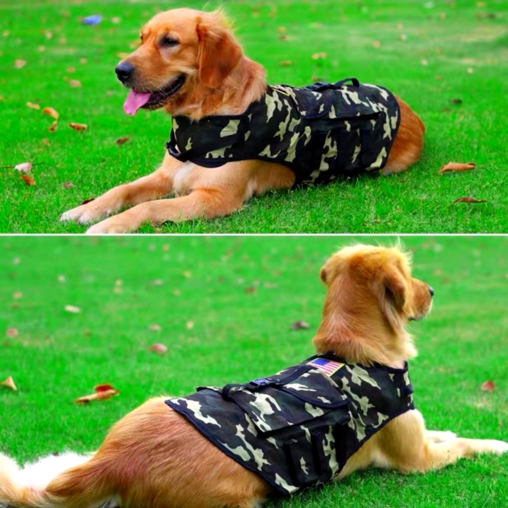 Dog hunting camouflage vest